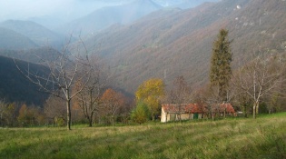 Walk through Parco dei Colli