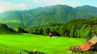 Itinerario accessibile al Santuario della Madonna di Salzana (Val Taleggio)