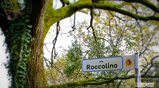 Encina y vía del Roccolino