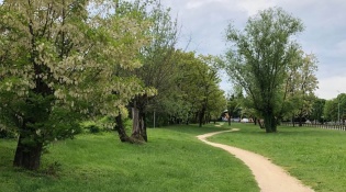 OASI VERDE PARK